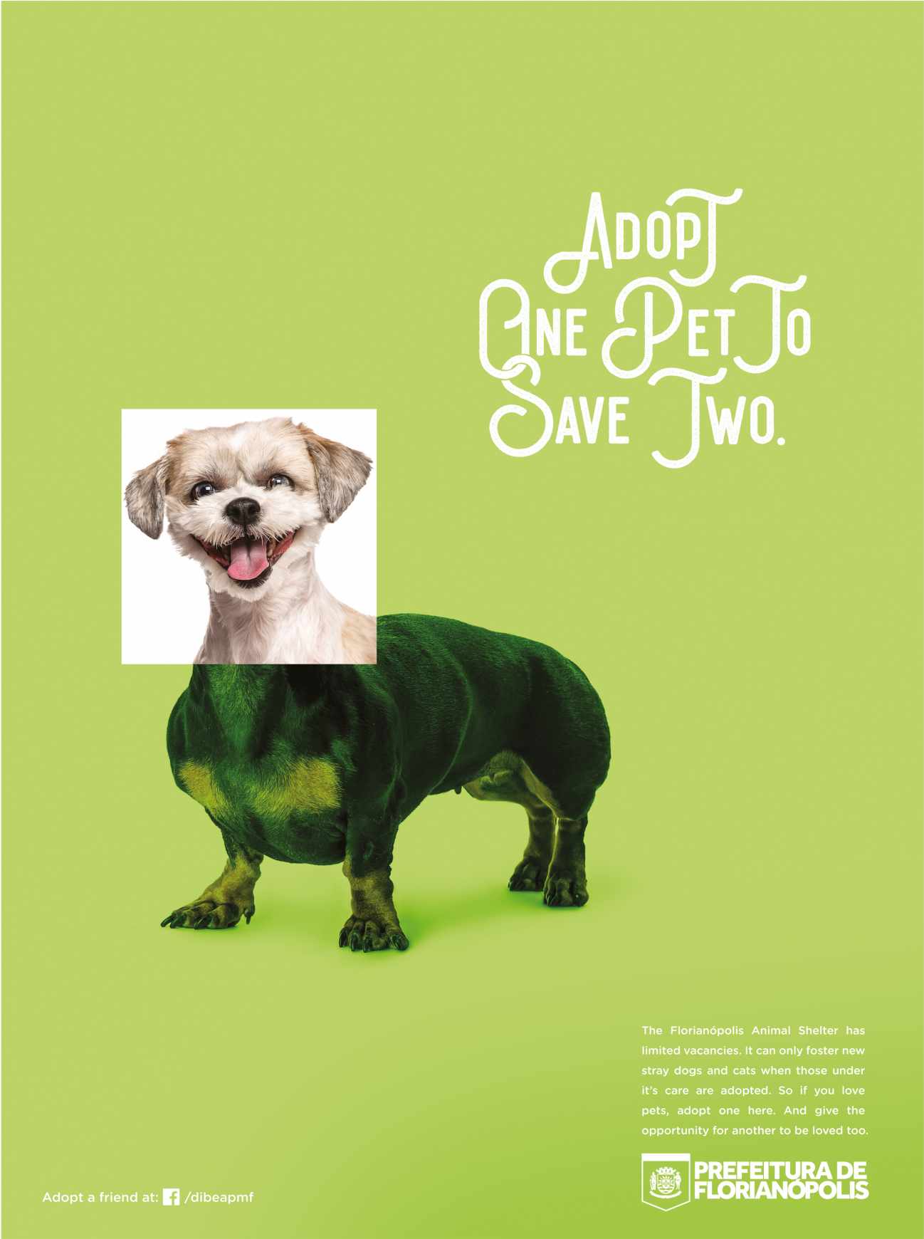 City of Florianópolis Print Ad - Pets, 4