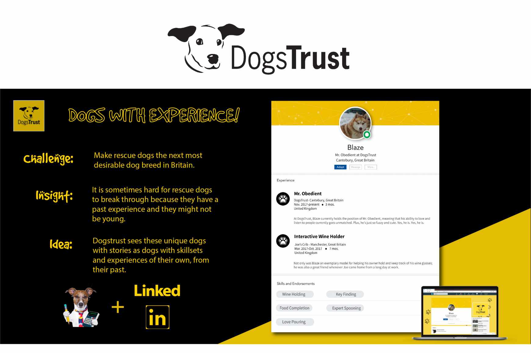 Dog's Trust Digital Ad -  Dogs with Experience!