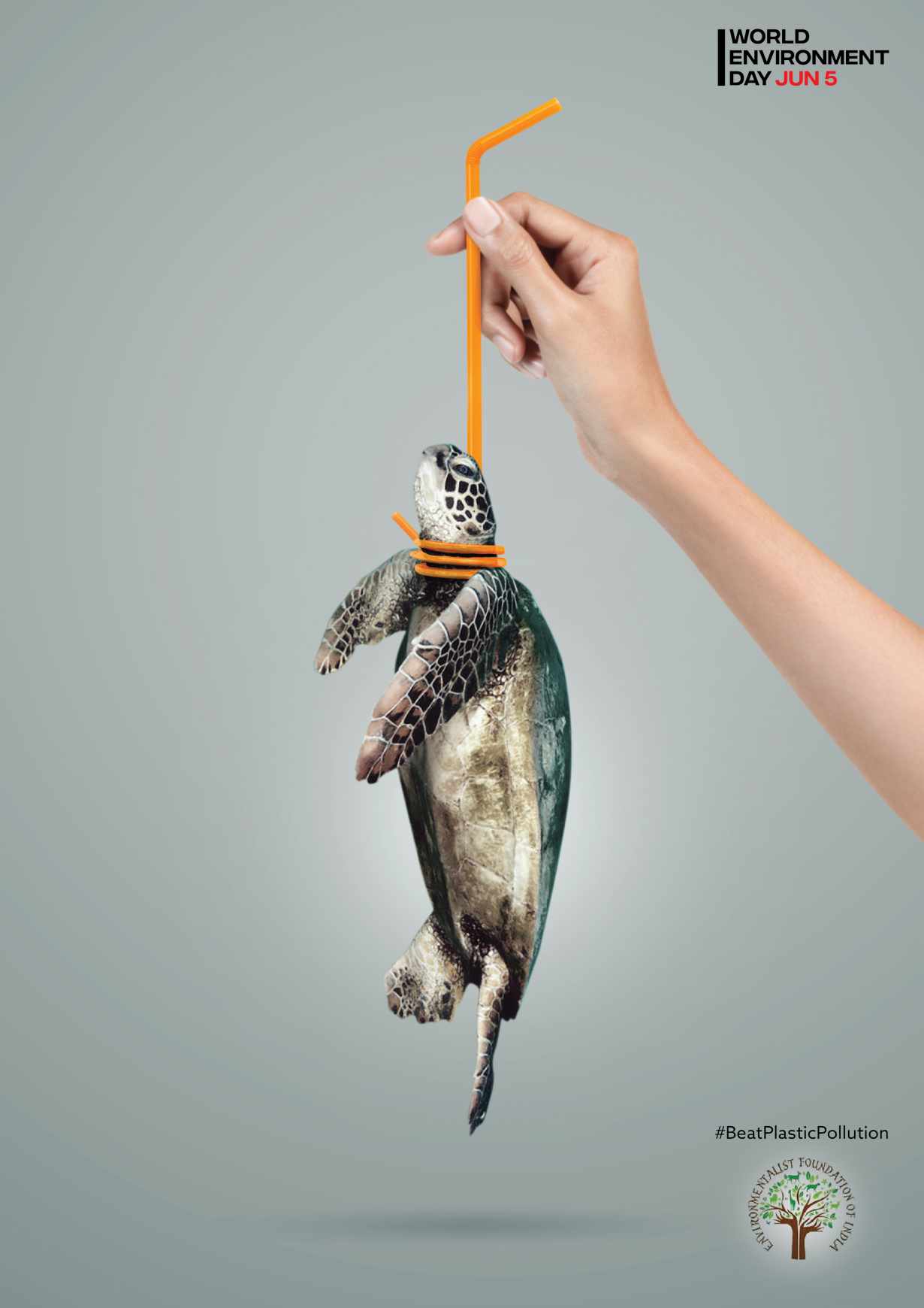 Advertisement by TinyTall, India Environmentalist Foundation of India Outdoor Ad - World Environment Day 2018