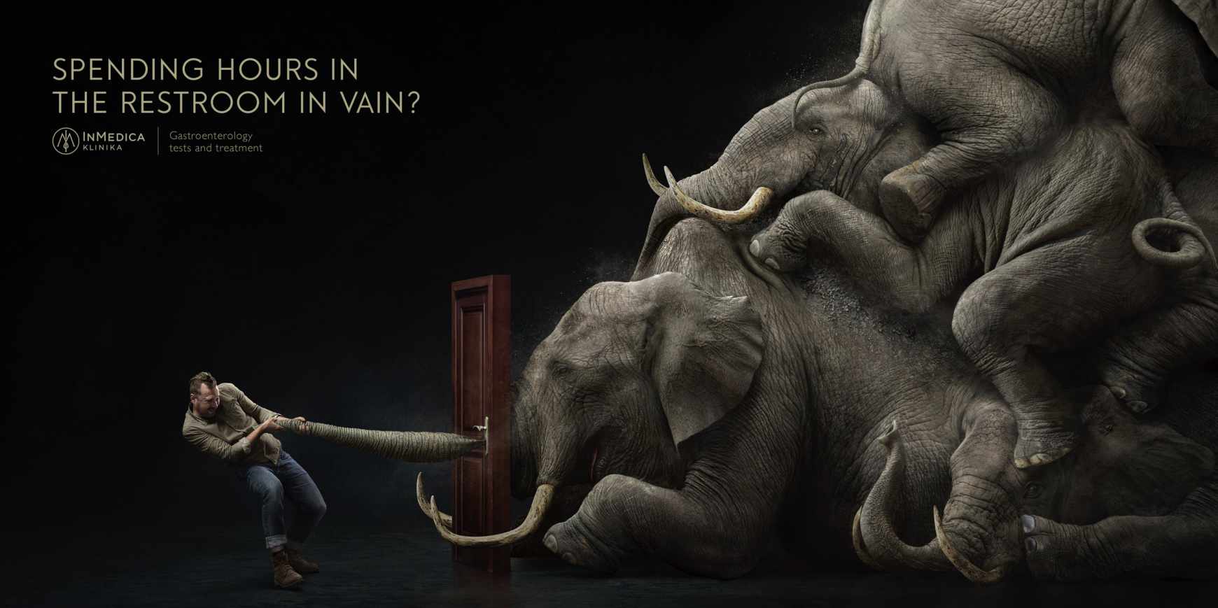 Elephants
