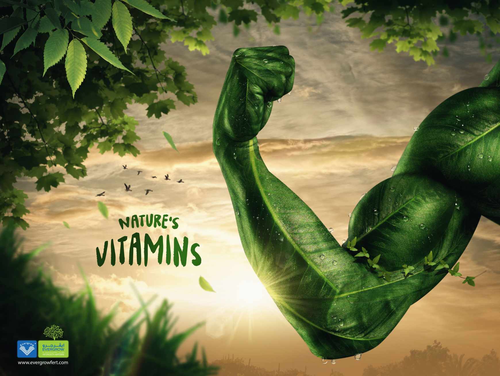 Evergrow Fertilizers Print Ad - Nature’s Vitamin