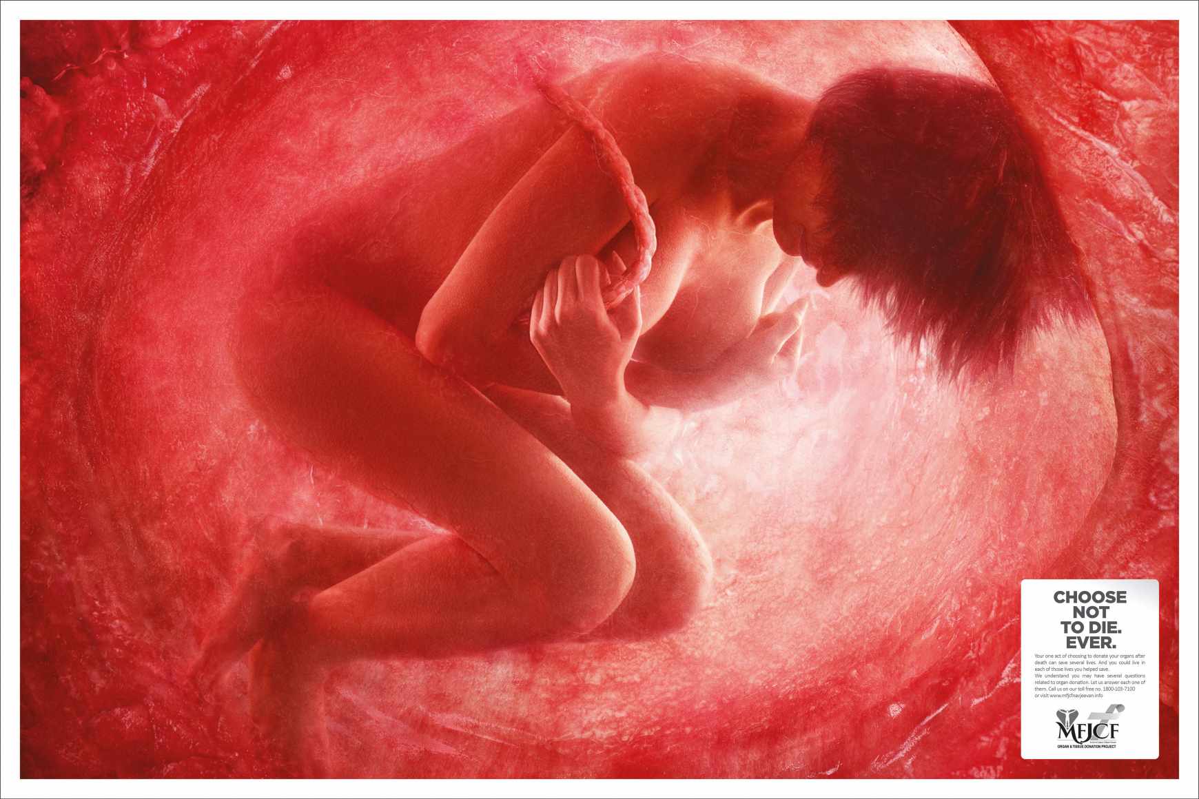 MFJCF Print Ad - Female In Womb 