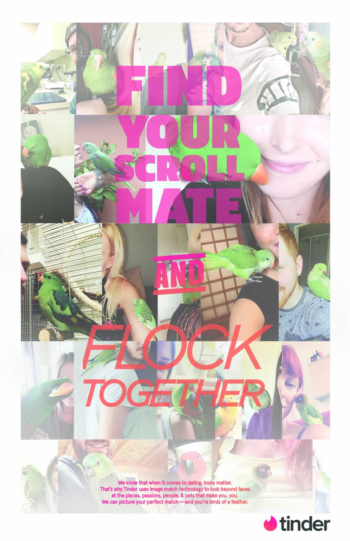 Tinder Print Ad - Find Your Scrollmate - Flock Together