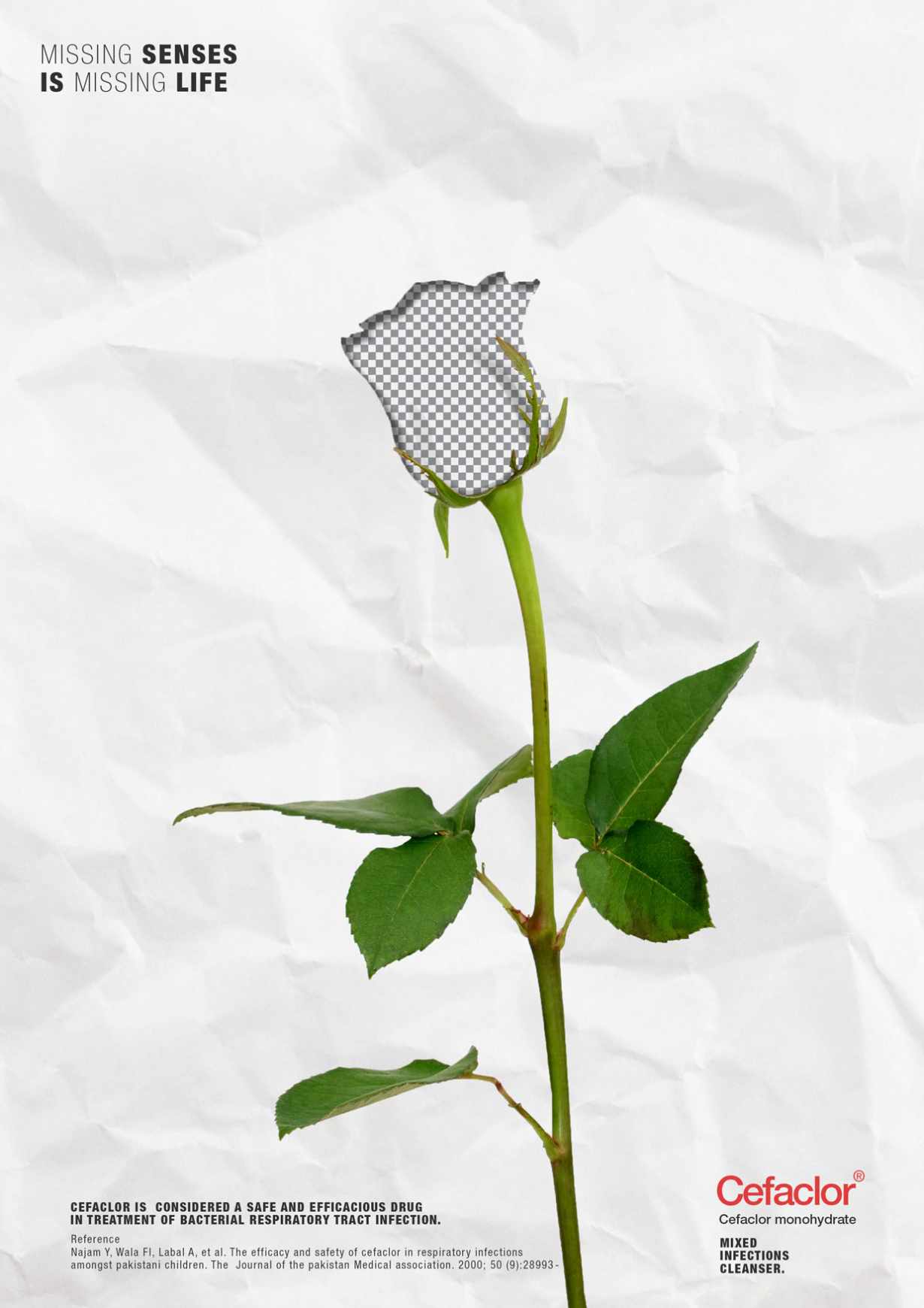 Cefaclor Print Ad - Missing Senses, 2