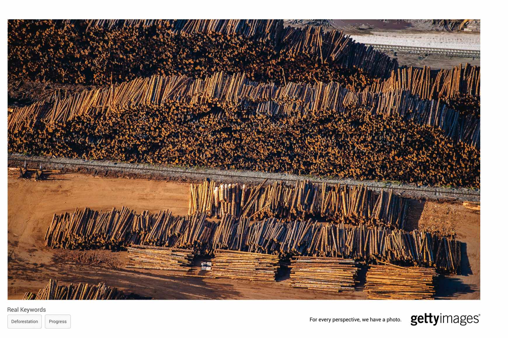 Getty Images Print Ad - Forest