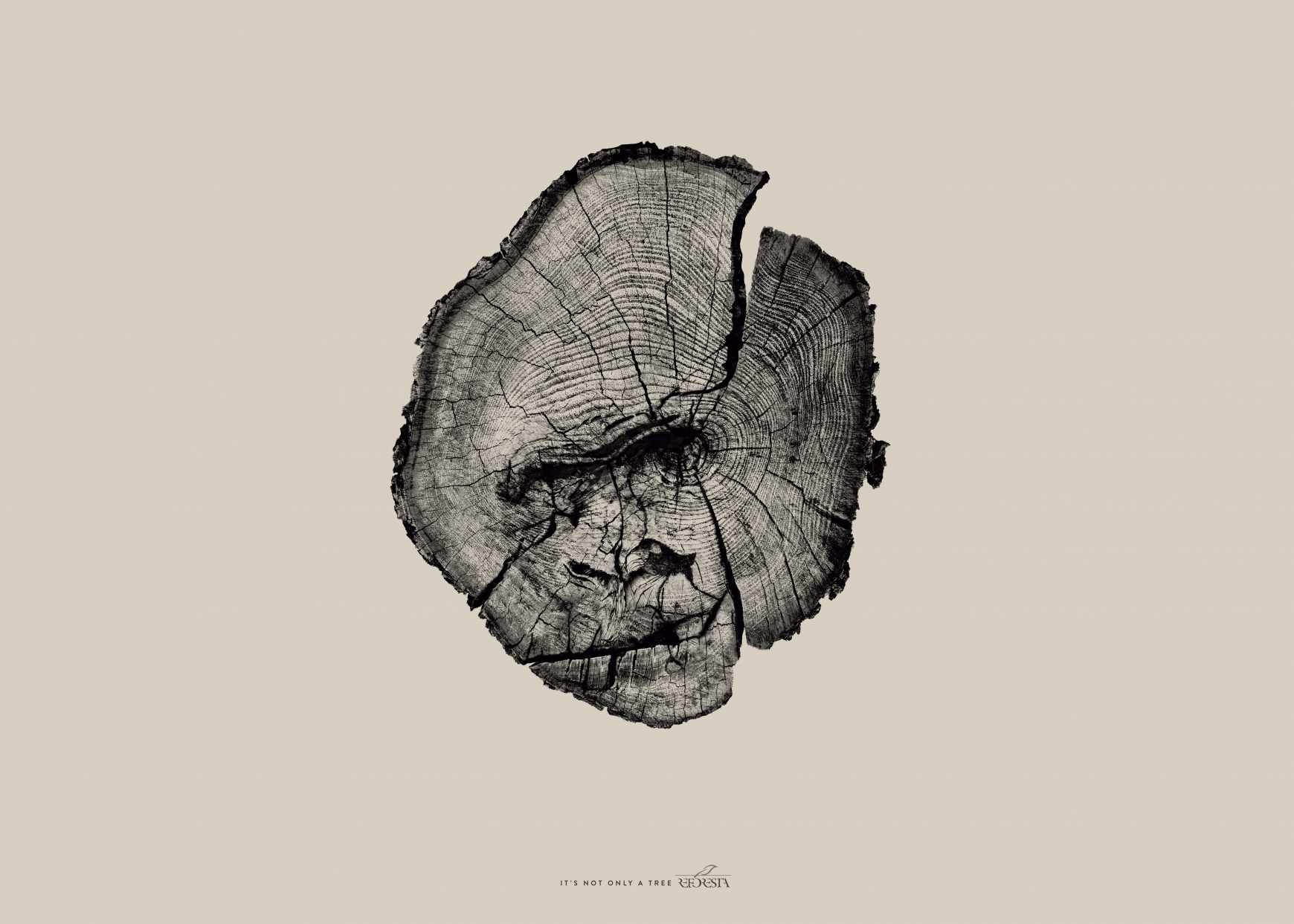 Asociación Reforesta Print Ad - Gorilla 