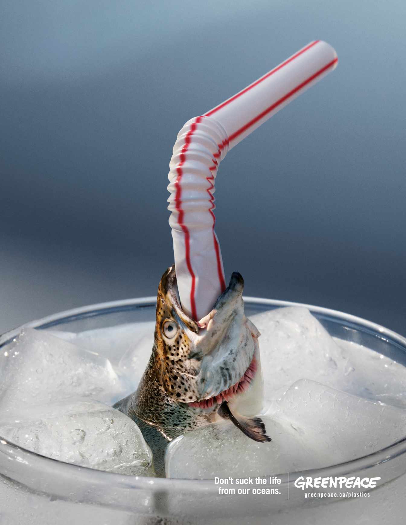 Greenpeace Print Ad - Straws Suck: Fish 