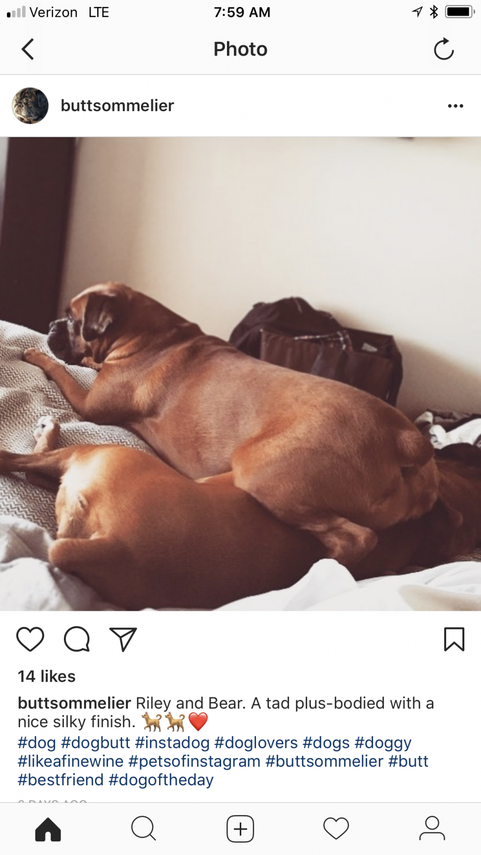 Organic Doggie Treats Digital Ad - The Butt Sommelier