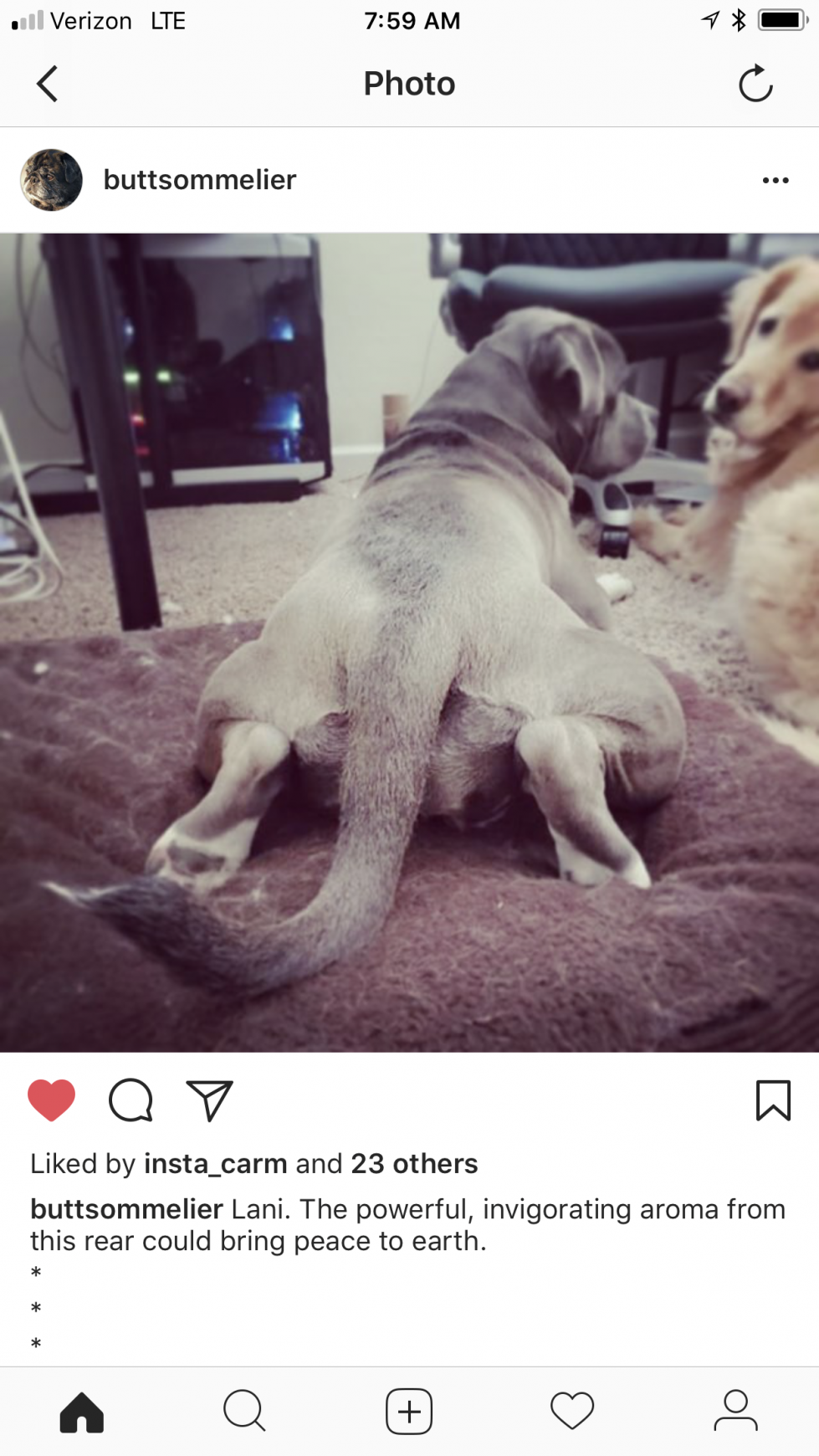 Organic Doggie Treats Digital Ad - The Butt Sommelier