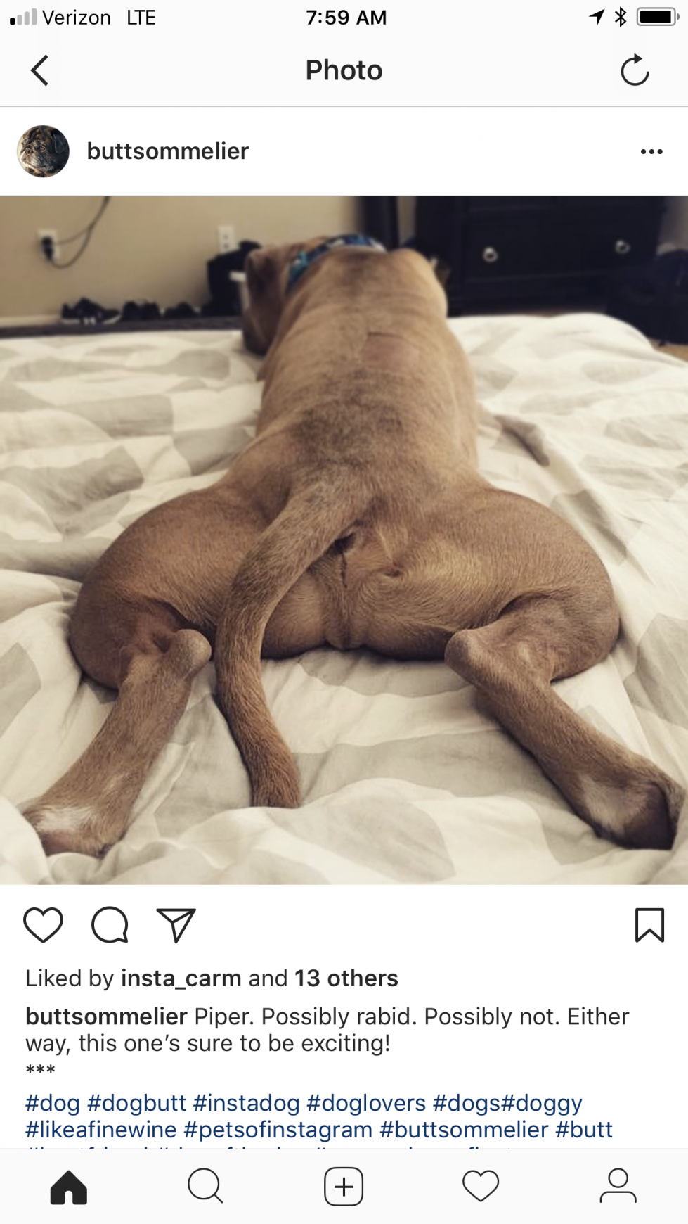 Organic Doggie Treats Digital Ad - The Butt Sommelier