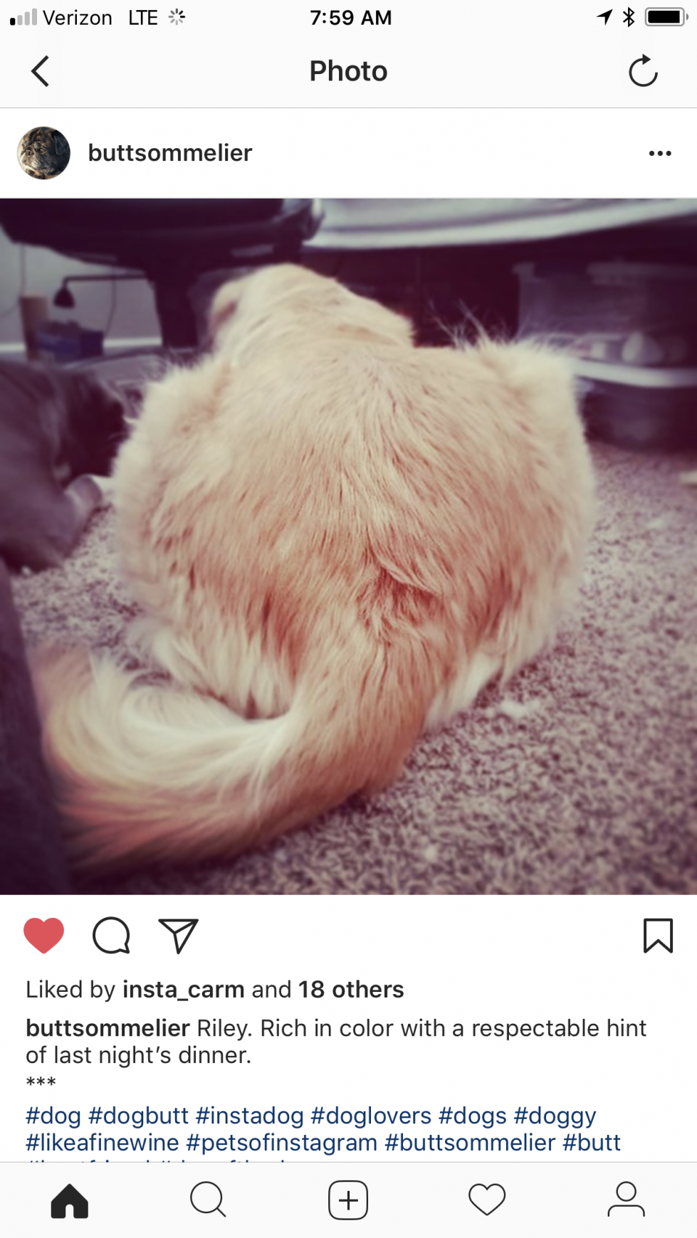 Organic Doggie Treats Digital Ad - The Butt Sommelier
