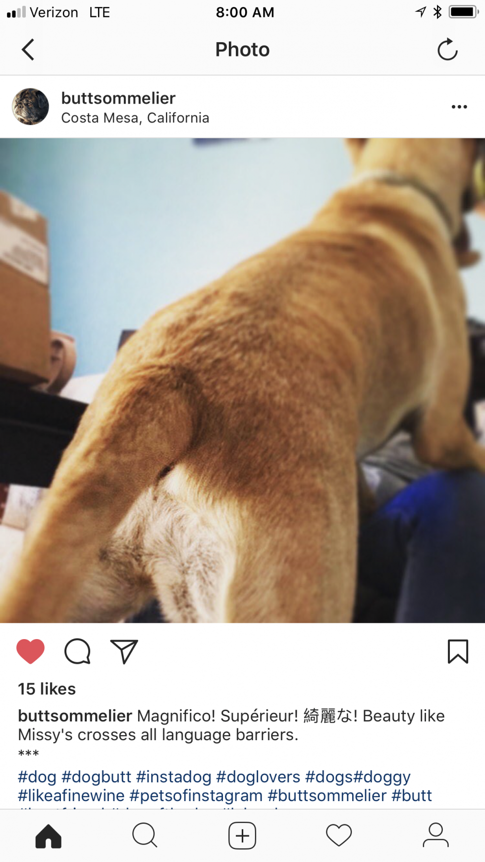 Organic Doggie Treats Digital Ad - The Butt Sommelier