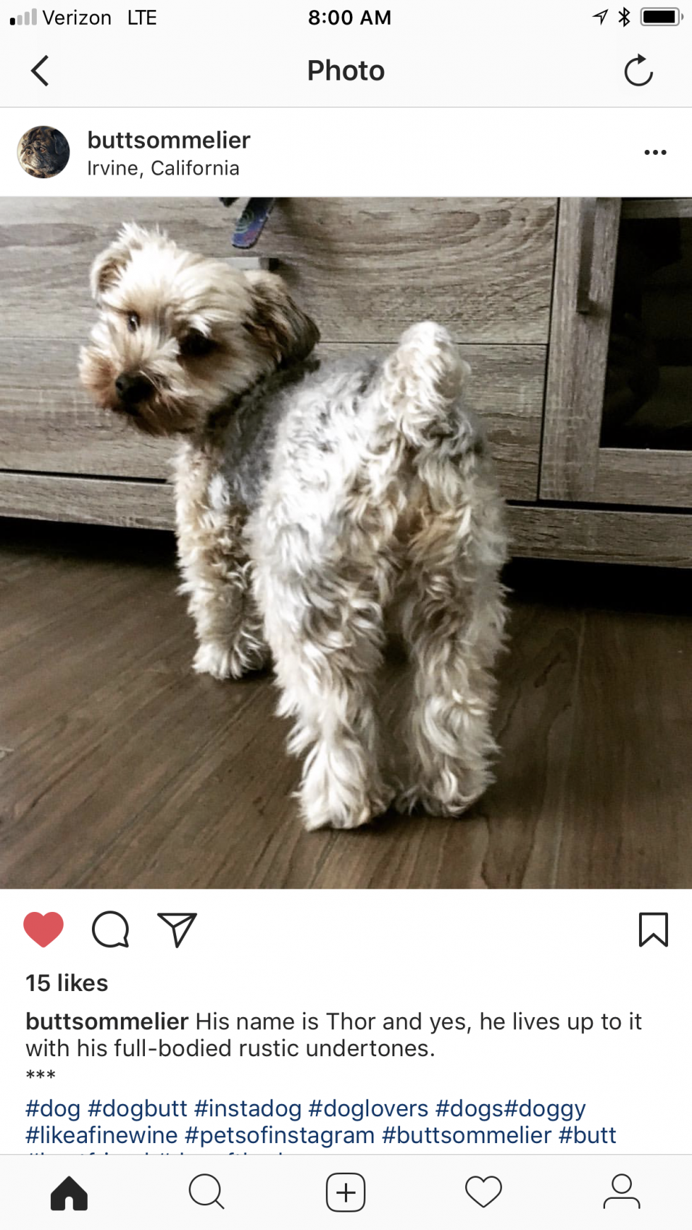 Organic Doggie Treats Digital Ad - The Butt Sommelier