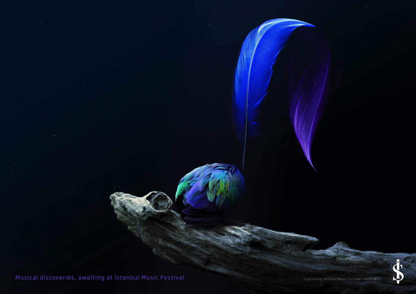 İş Bank Print Ad - Musical Discoveries