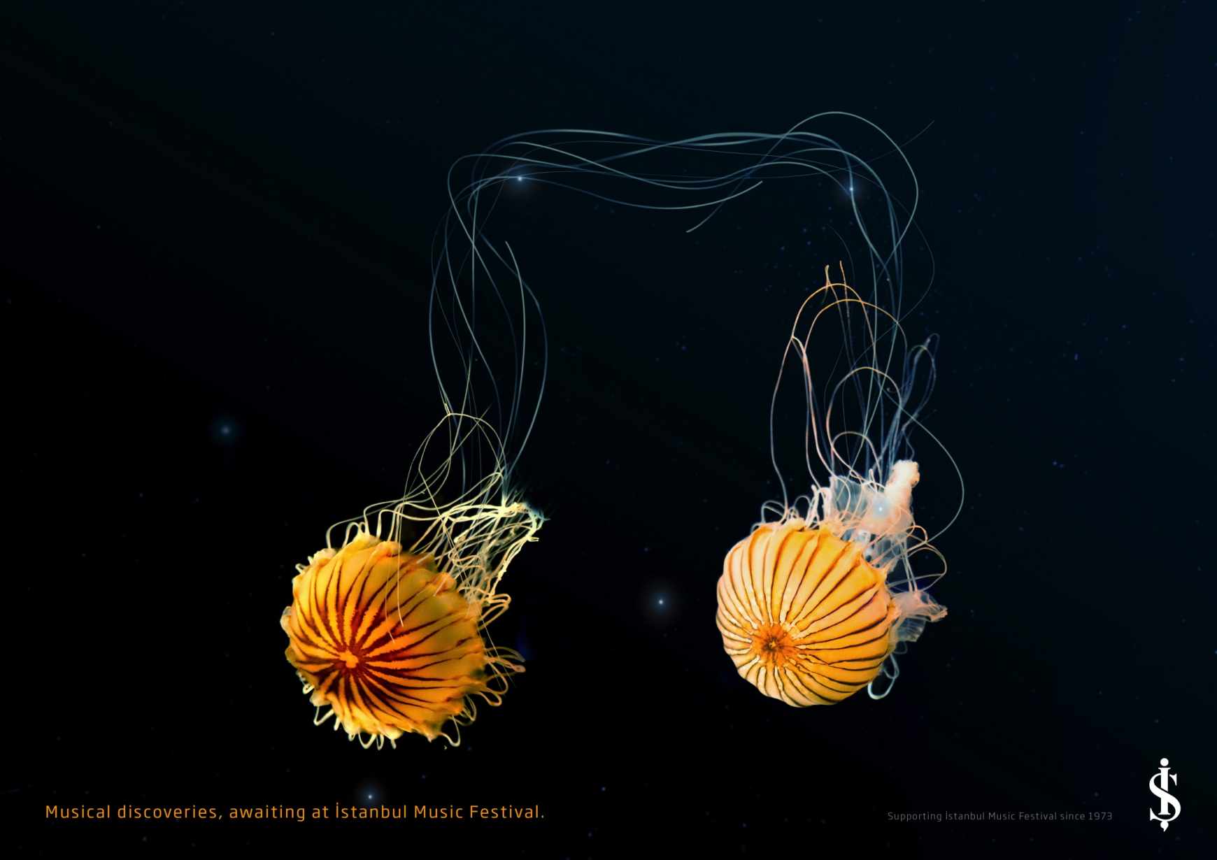 İş Bank Print Ad - Musical Discoveries, 2