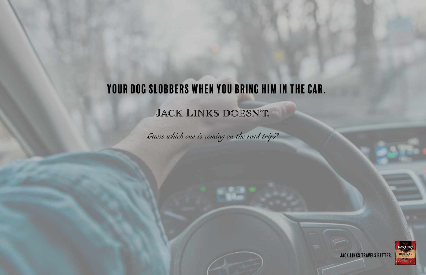 Jack Link's Print Ad - Dog 