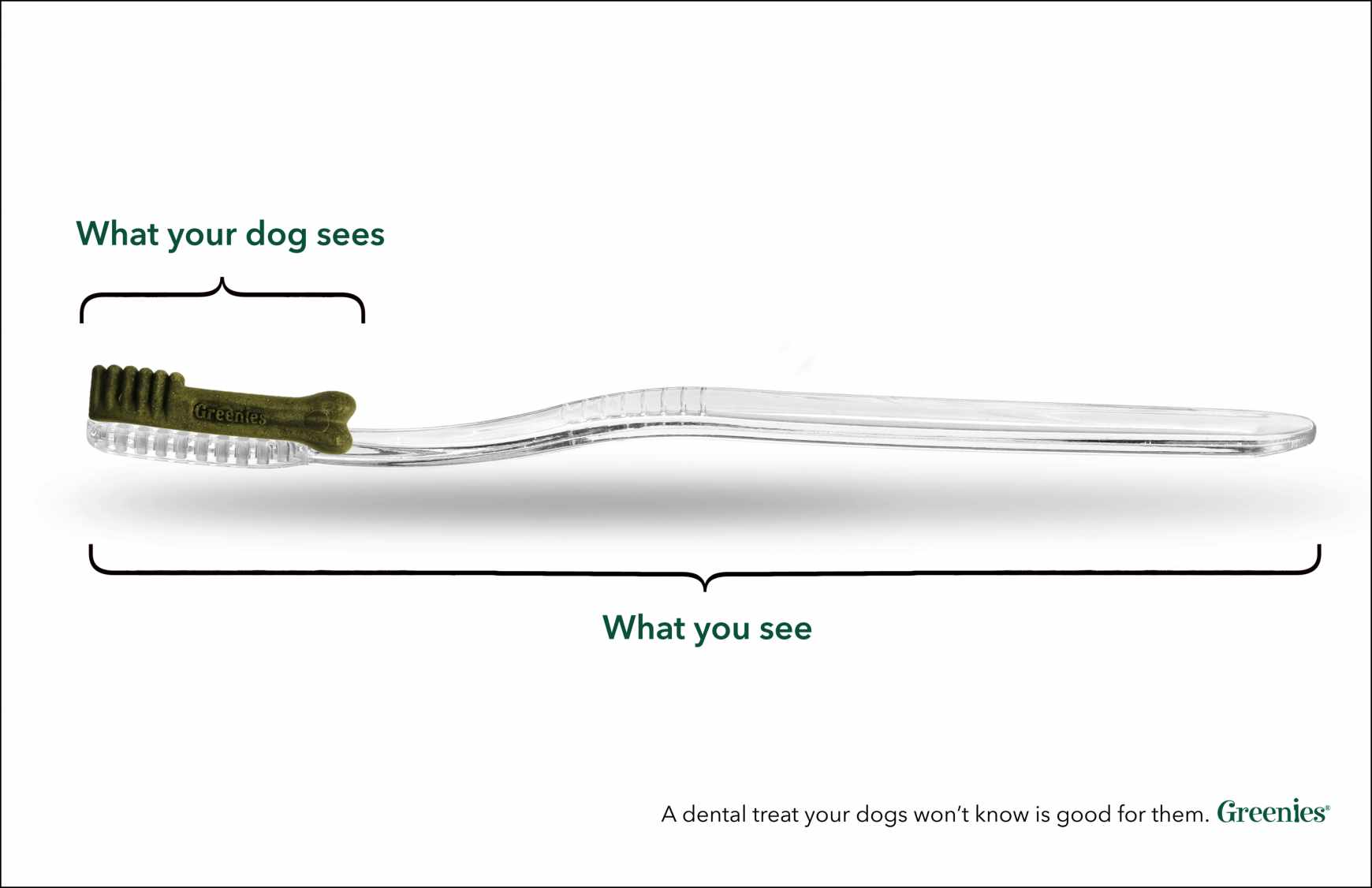 Greenies Print Ad - Toothbrush, 2