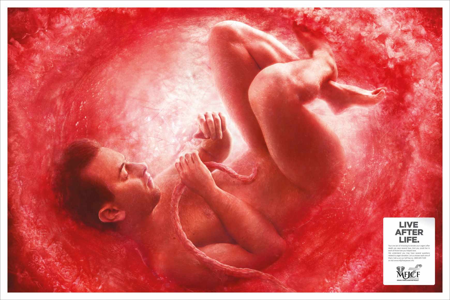 MFJCF Print Ad - Man In Womb 