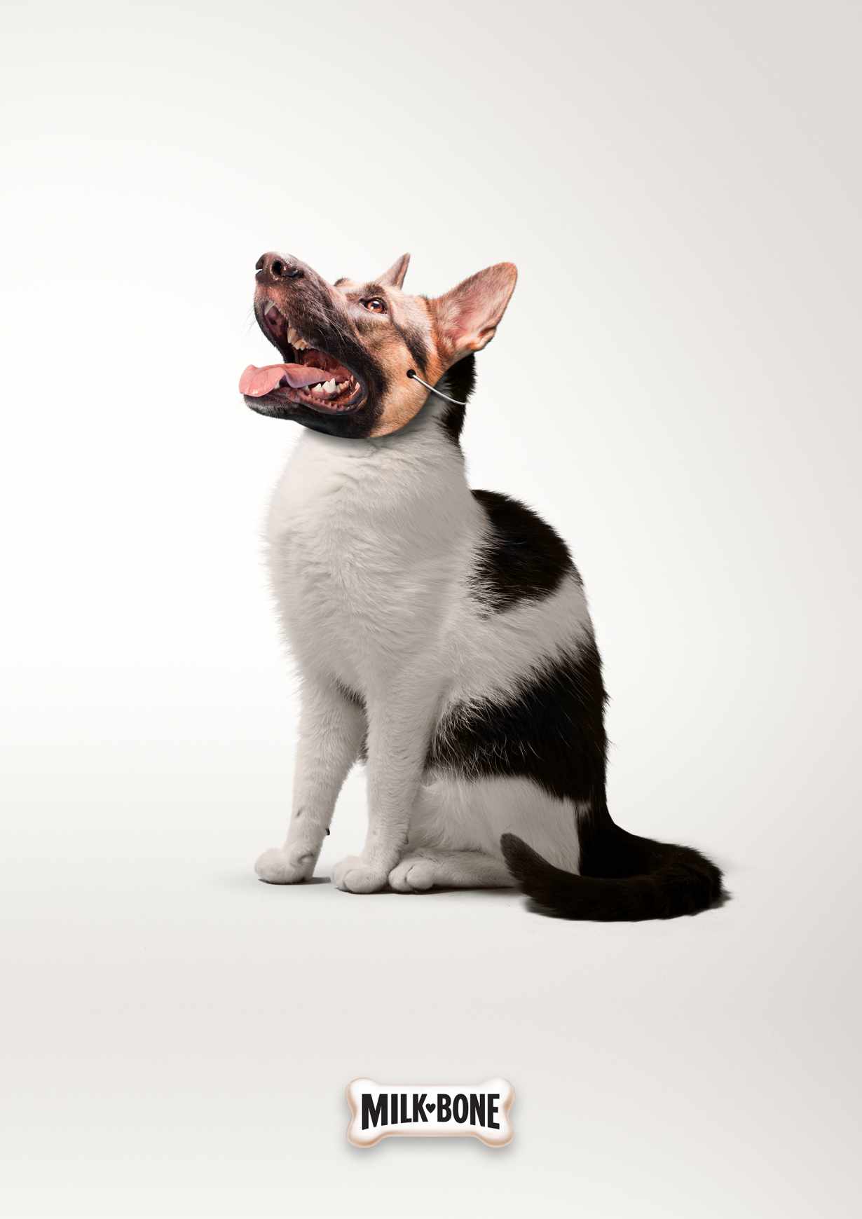 Milk-Bone Print Ad - Sneaky