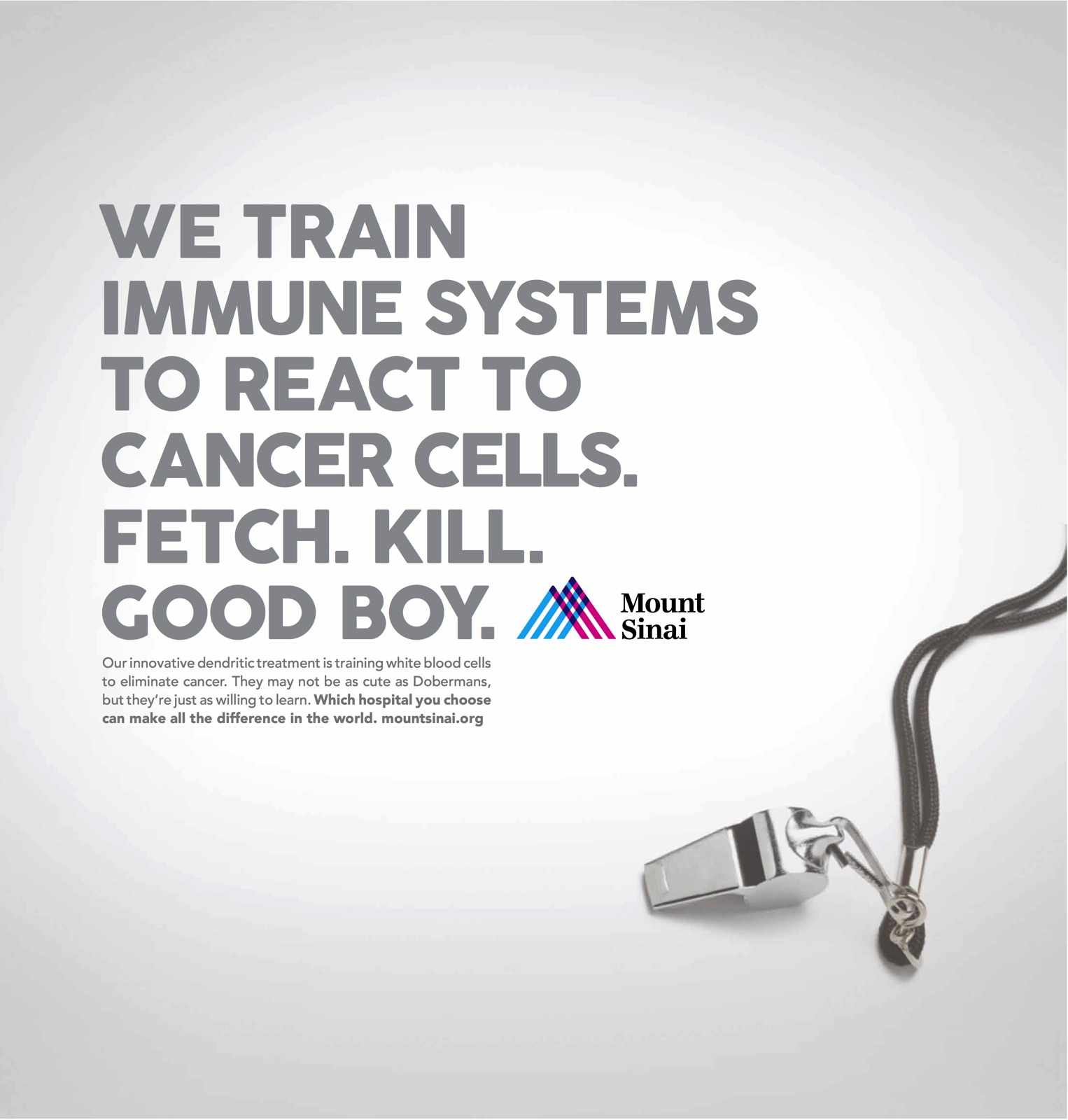 Mount Sinai Print Ad - Good Boy