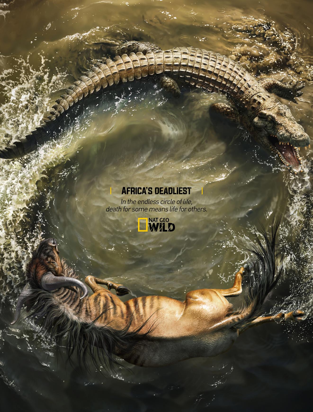 National Geographic Print Ad - Africa's Deadliest - Crocodile X Wildebeest