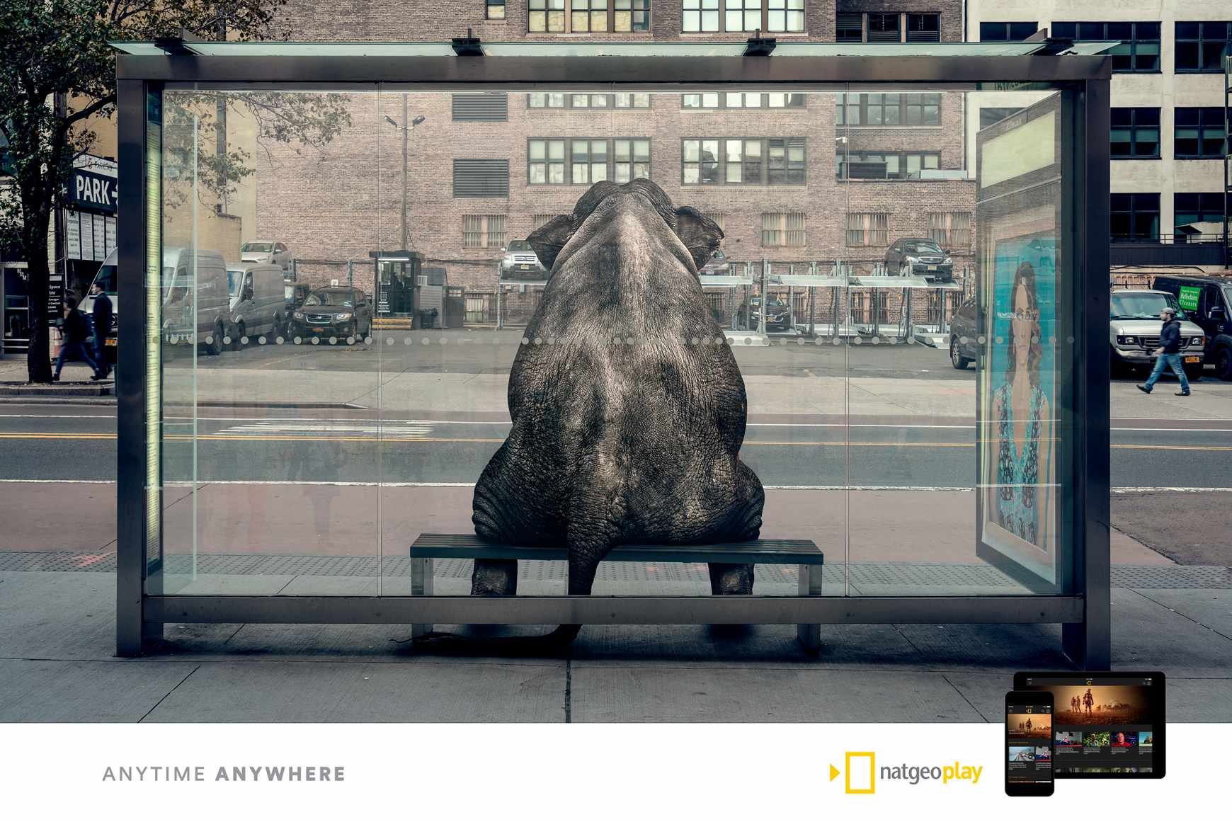National Geographic Print Ad - NatGeo Play, 2