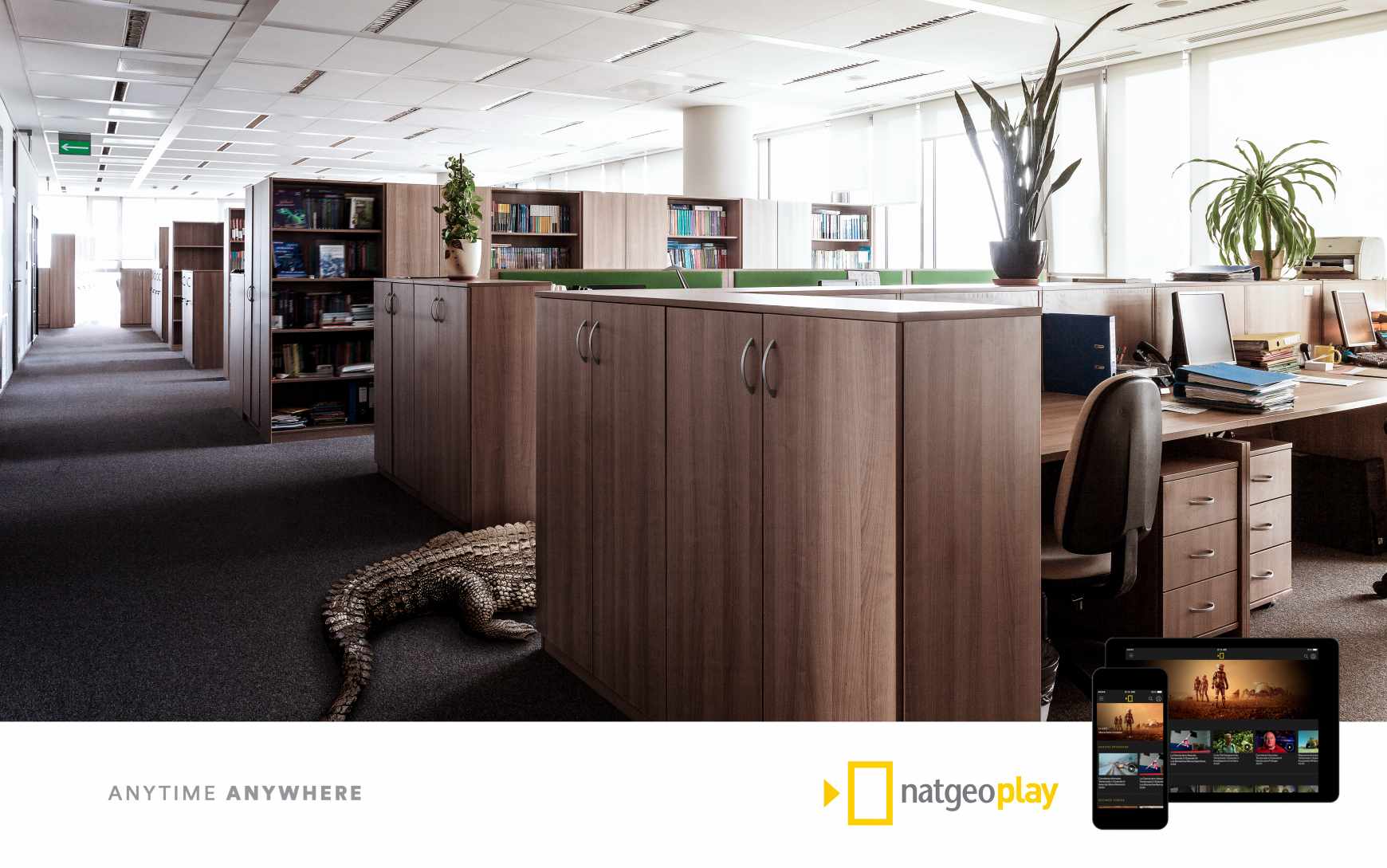 National Geographic Print Ad - NatGeo Play, 1