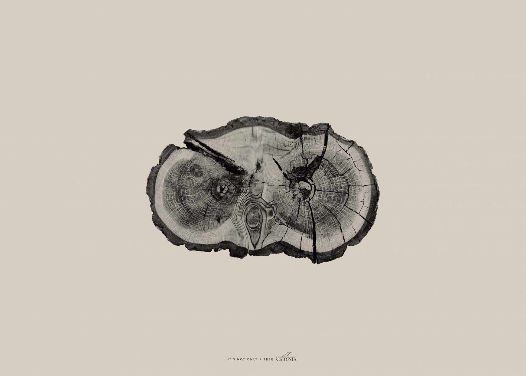 Asociación Reforesta Print Ad - Owl