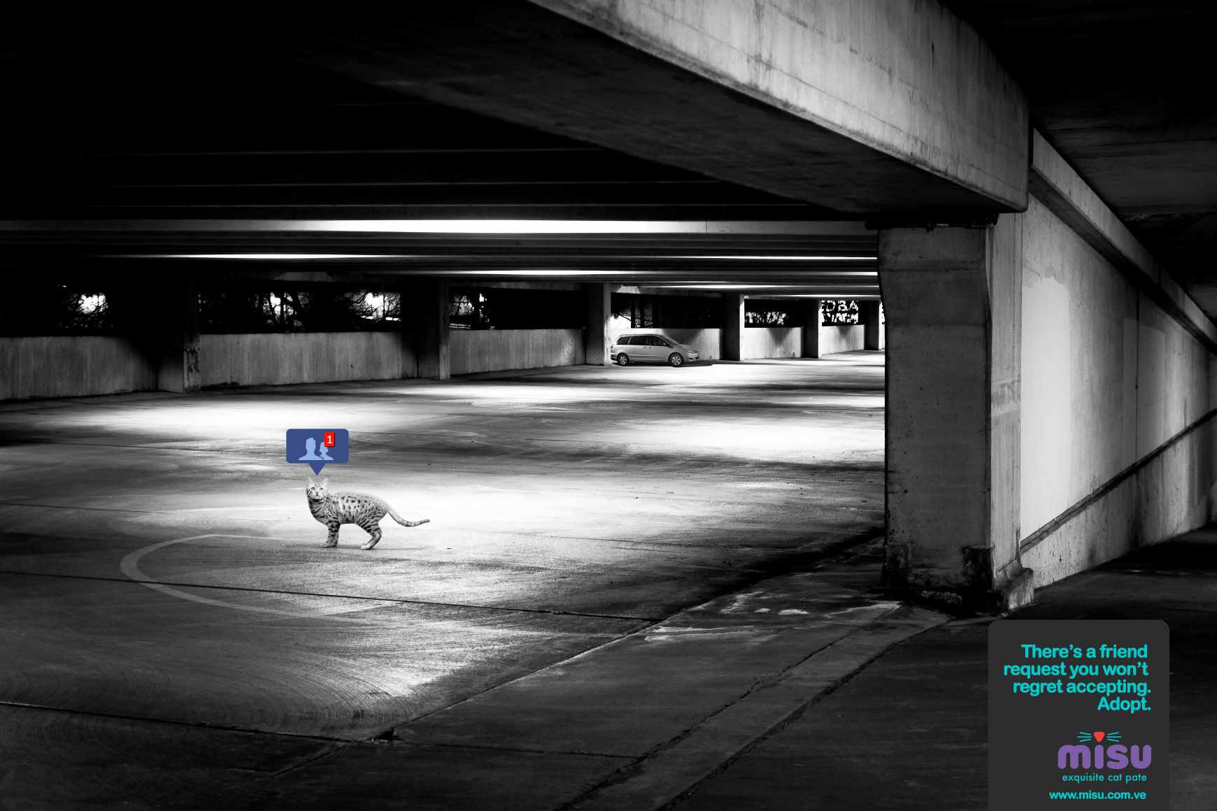 Misu Print Ad - Friend Request - Parking 