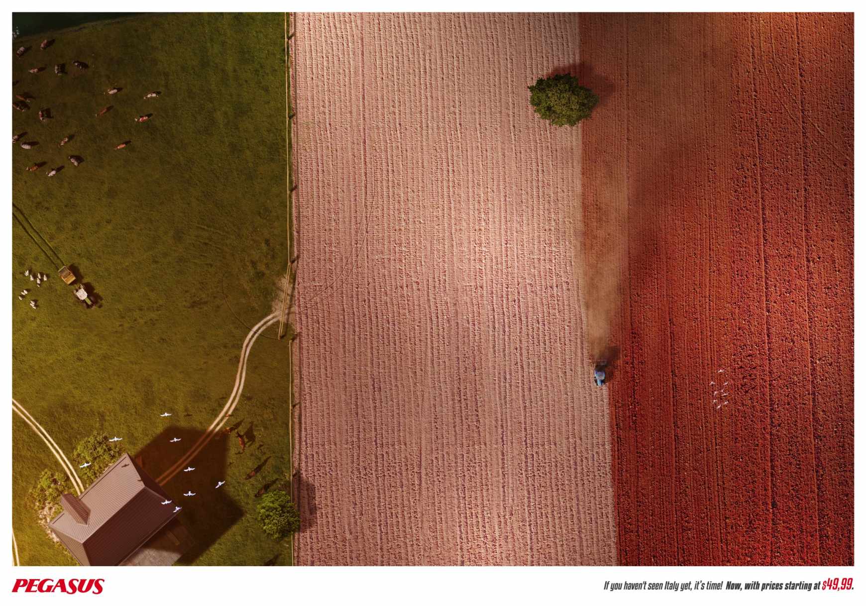 Pegasus Airlines Print Ad - If You Haven't Seen It Yet - Italy