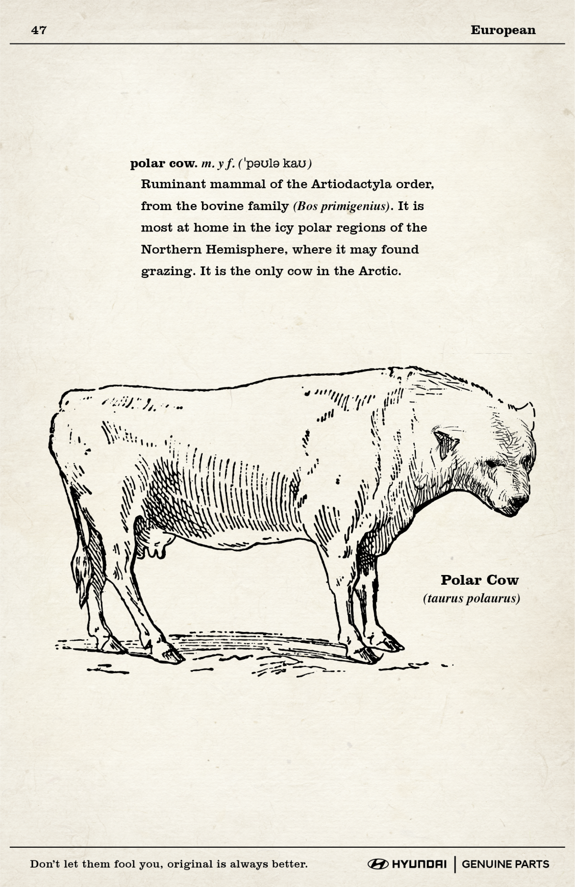 Hyundai Print Ad - Polar Cow 