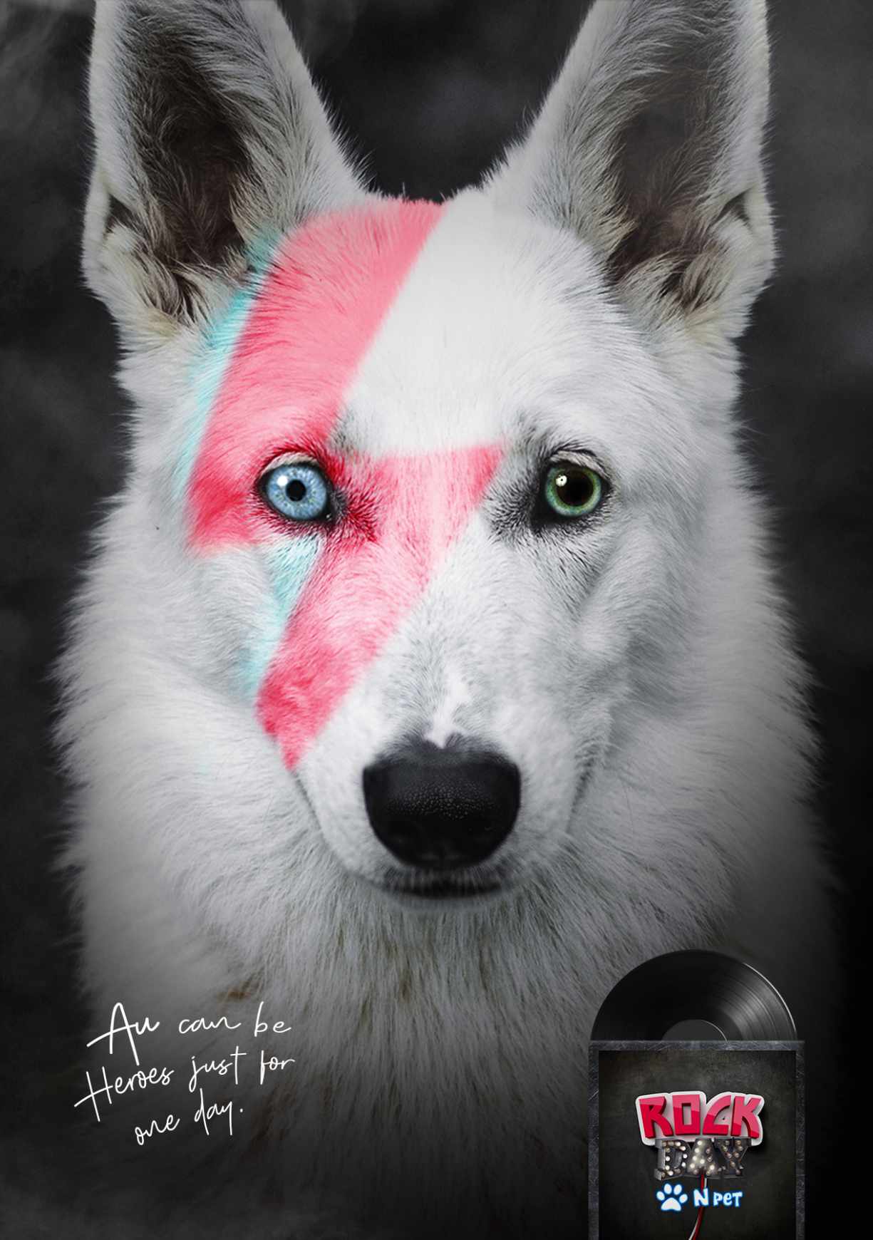 N Pet Print Ad - Rock Day N Pet, 2