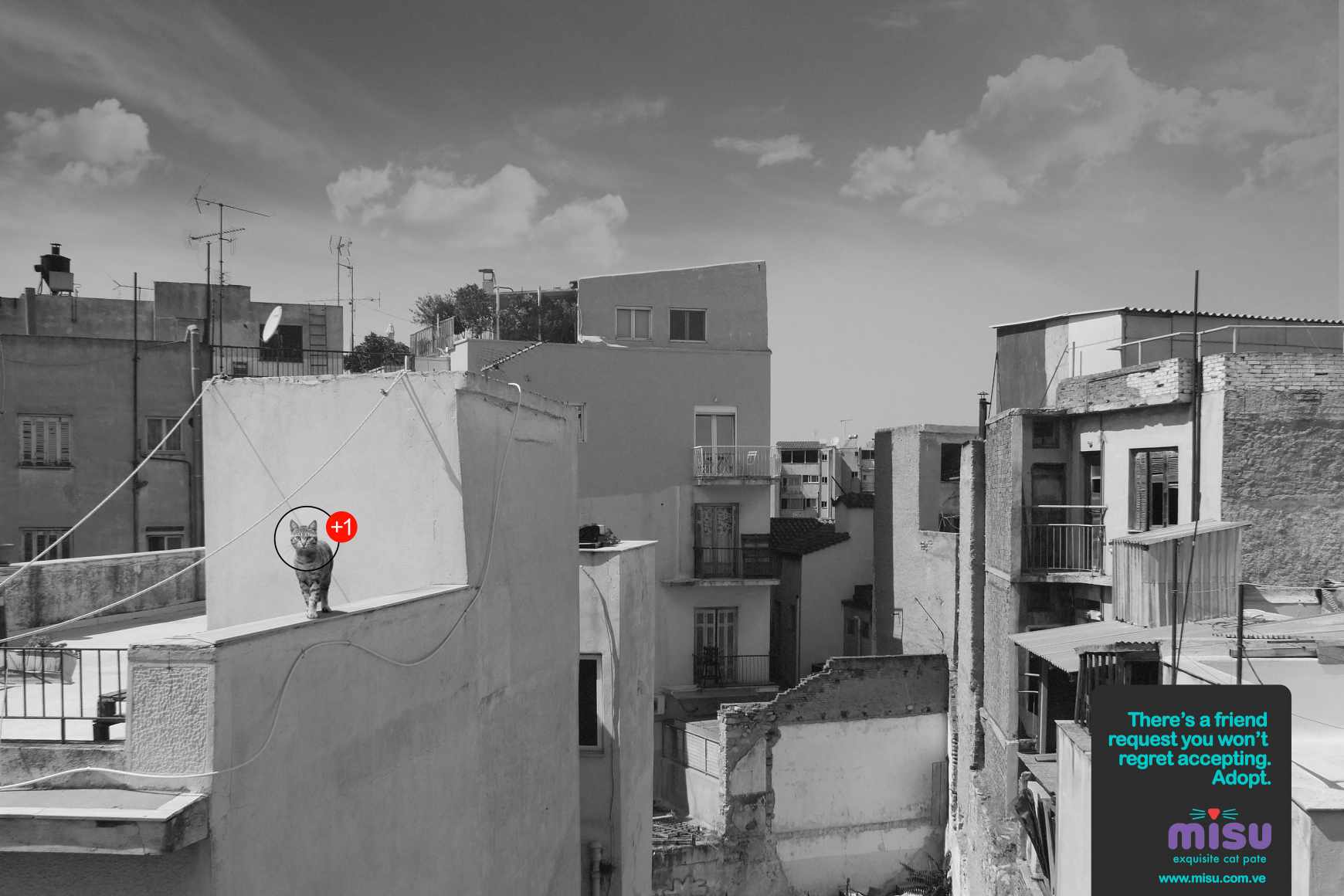 Misu Print Ad - Friend Request - Rooftop 