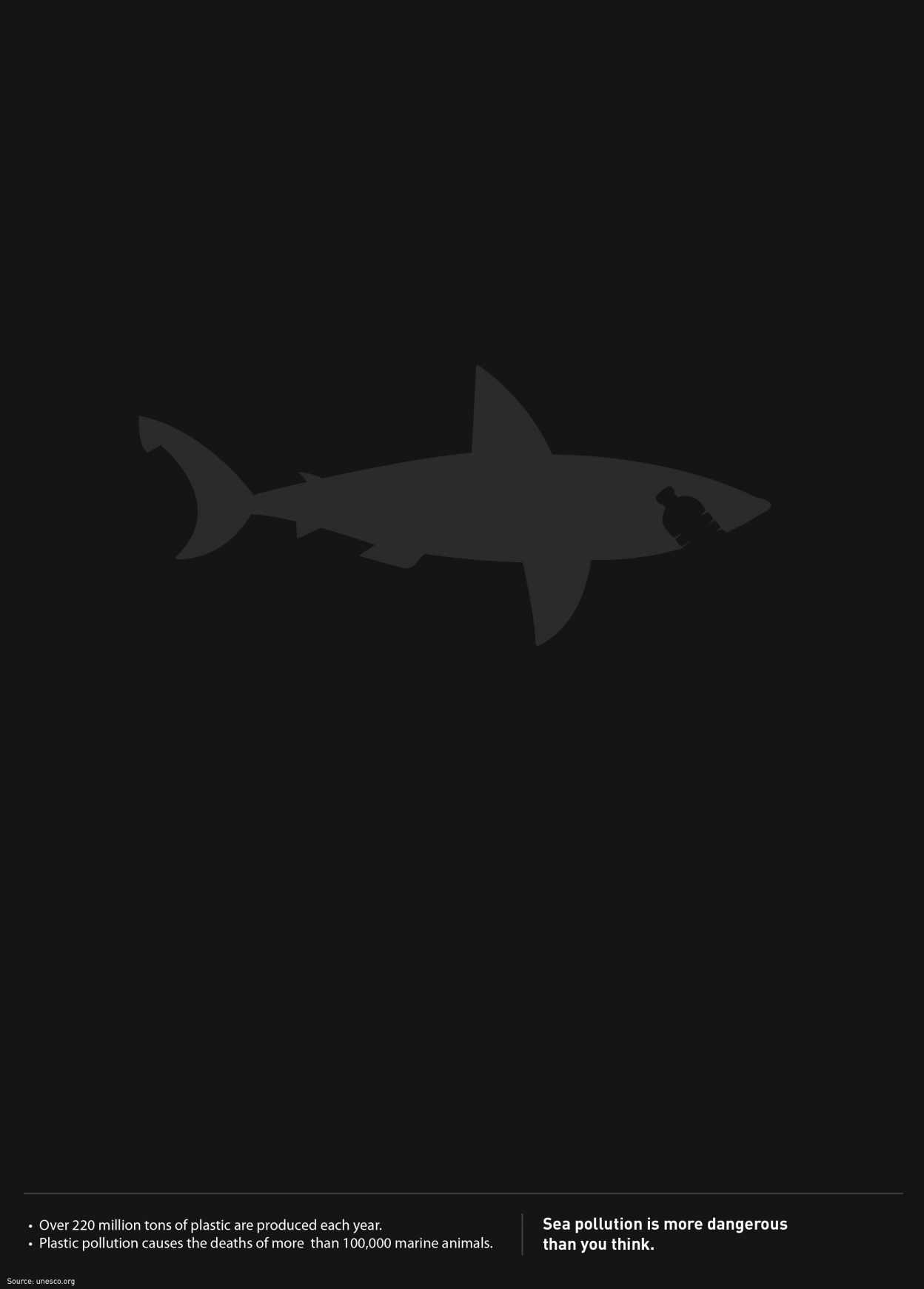 Sea Pollution Marine Animals - Shark