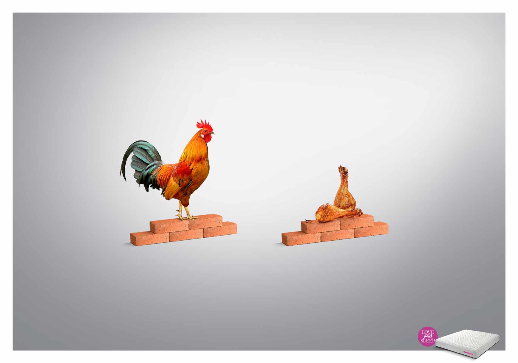 Springwel Print Ad - Love your Sleep - Rooster 