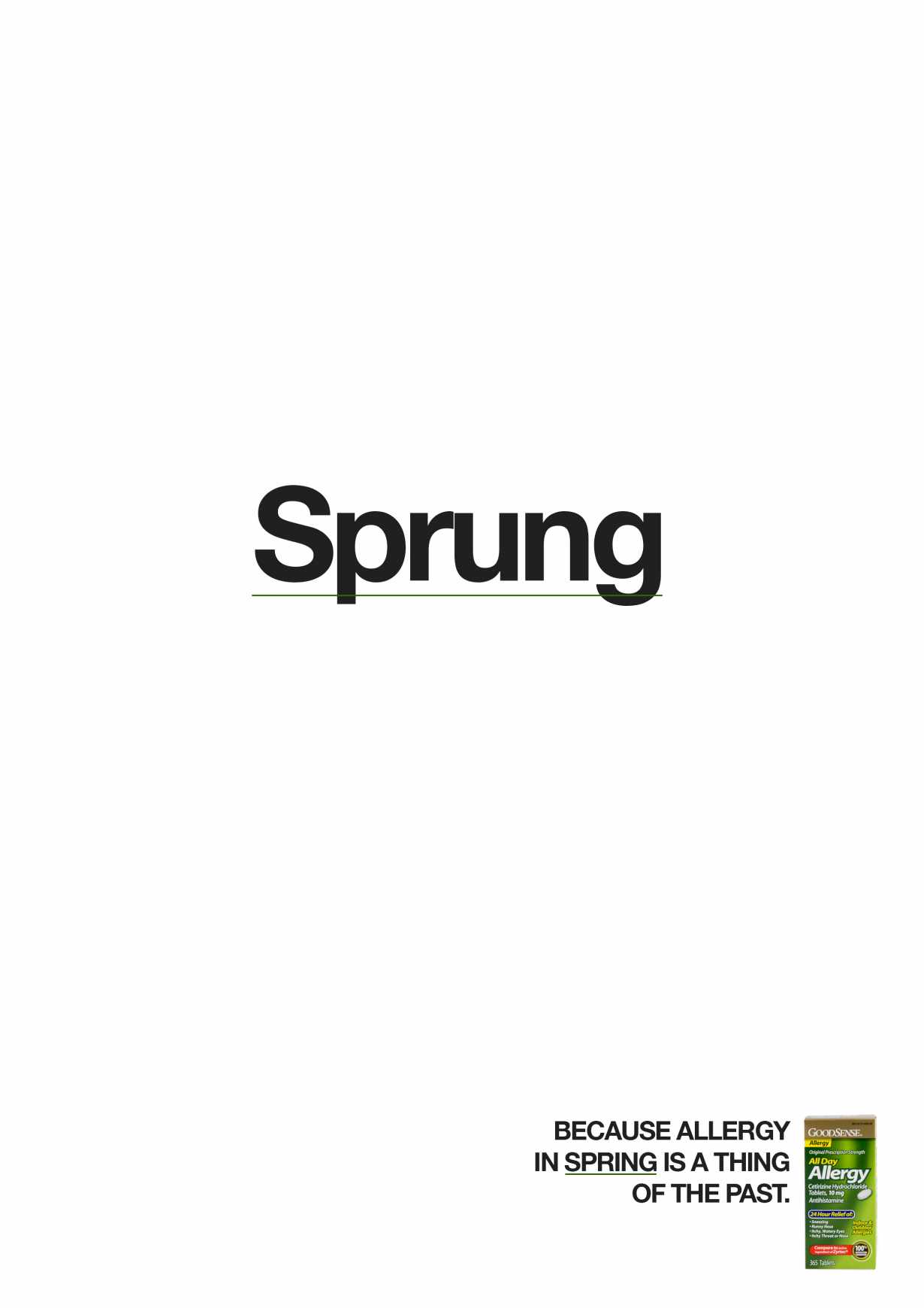 GoodSense Print Ad - Sprung