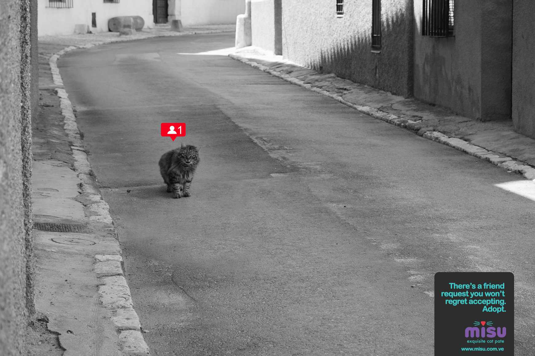 Misu Print Ad - Friend Request - Street