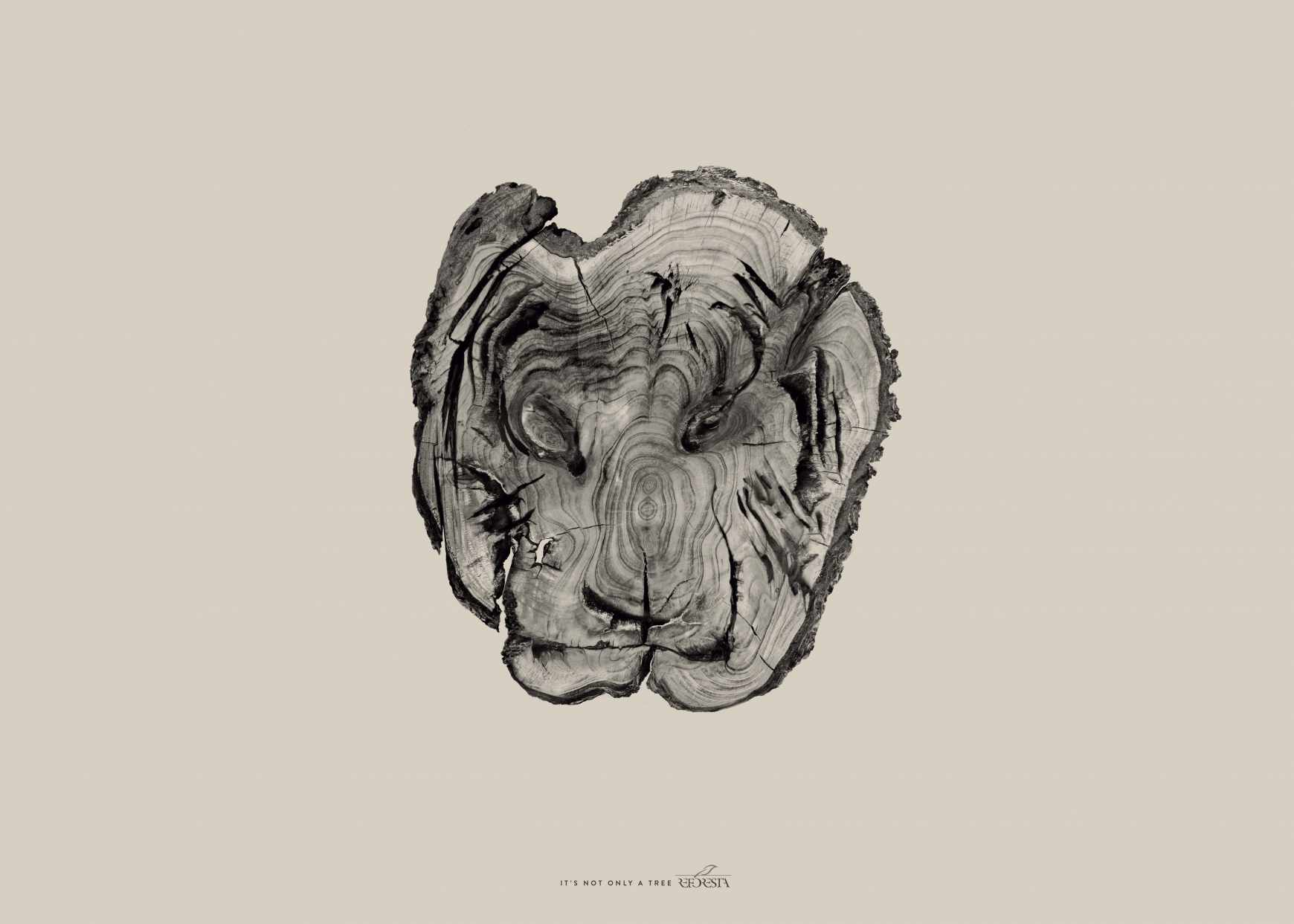 Asociación Reforesta Print Ad - Tiger 
