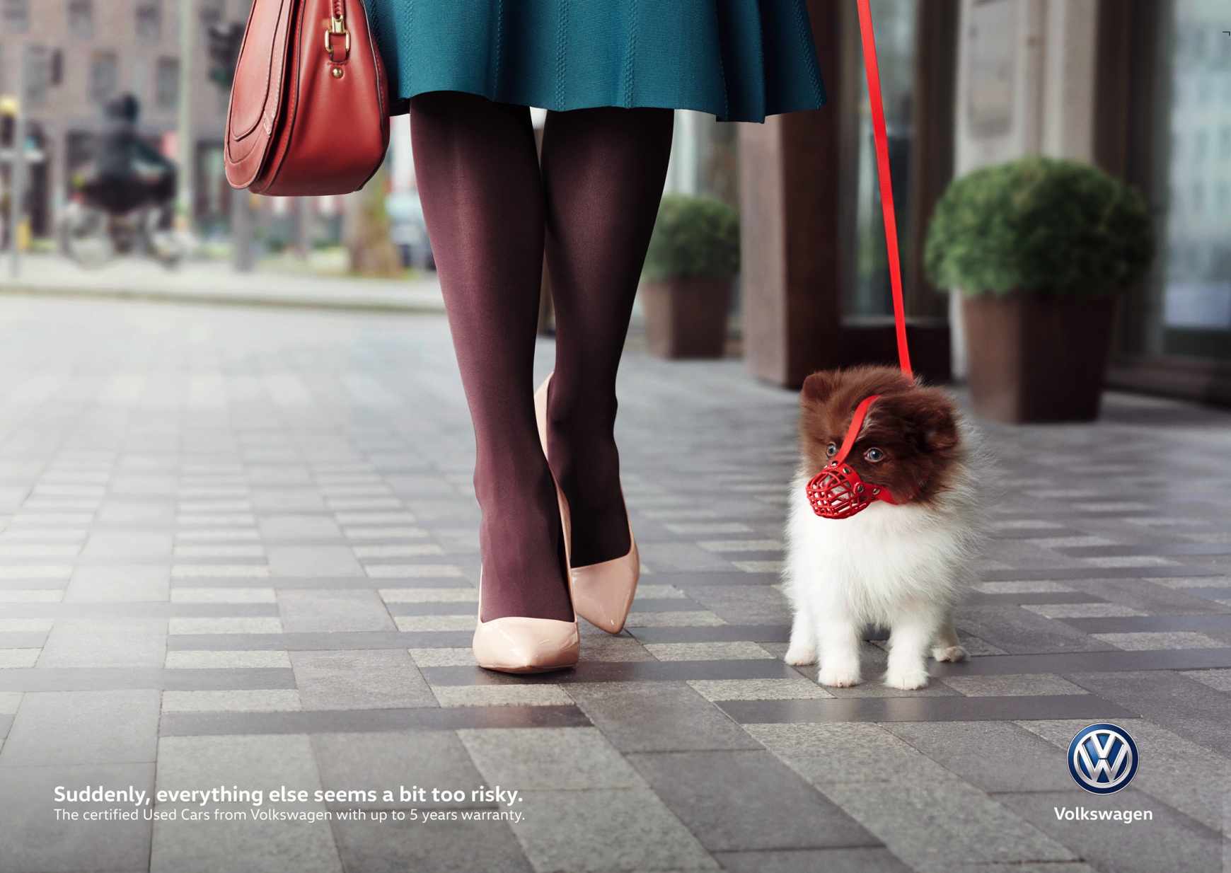 Advertisement by DDB, Germany Volkswagen Print Ad - A Bit Too Risky - Puppy