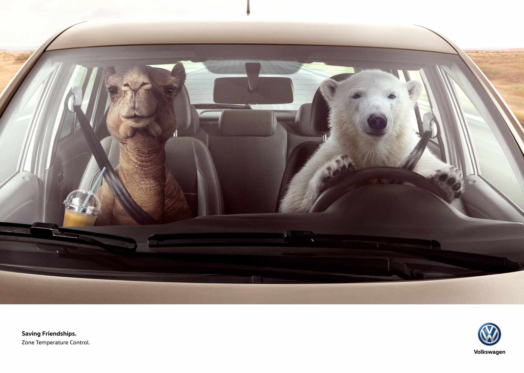 Volkswagen Print Ad - Bear &amp; Camel