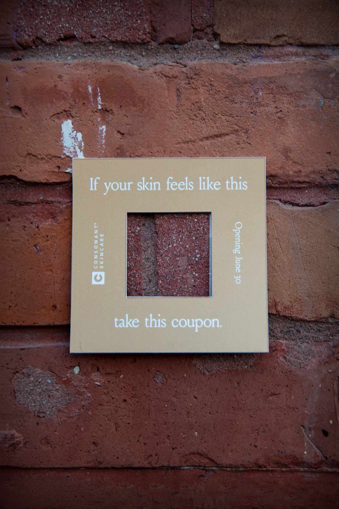 Consonant Skincare Outdoor Ad - Reskinning