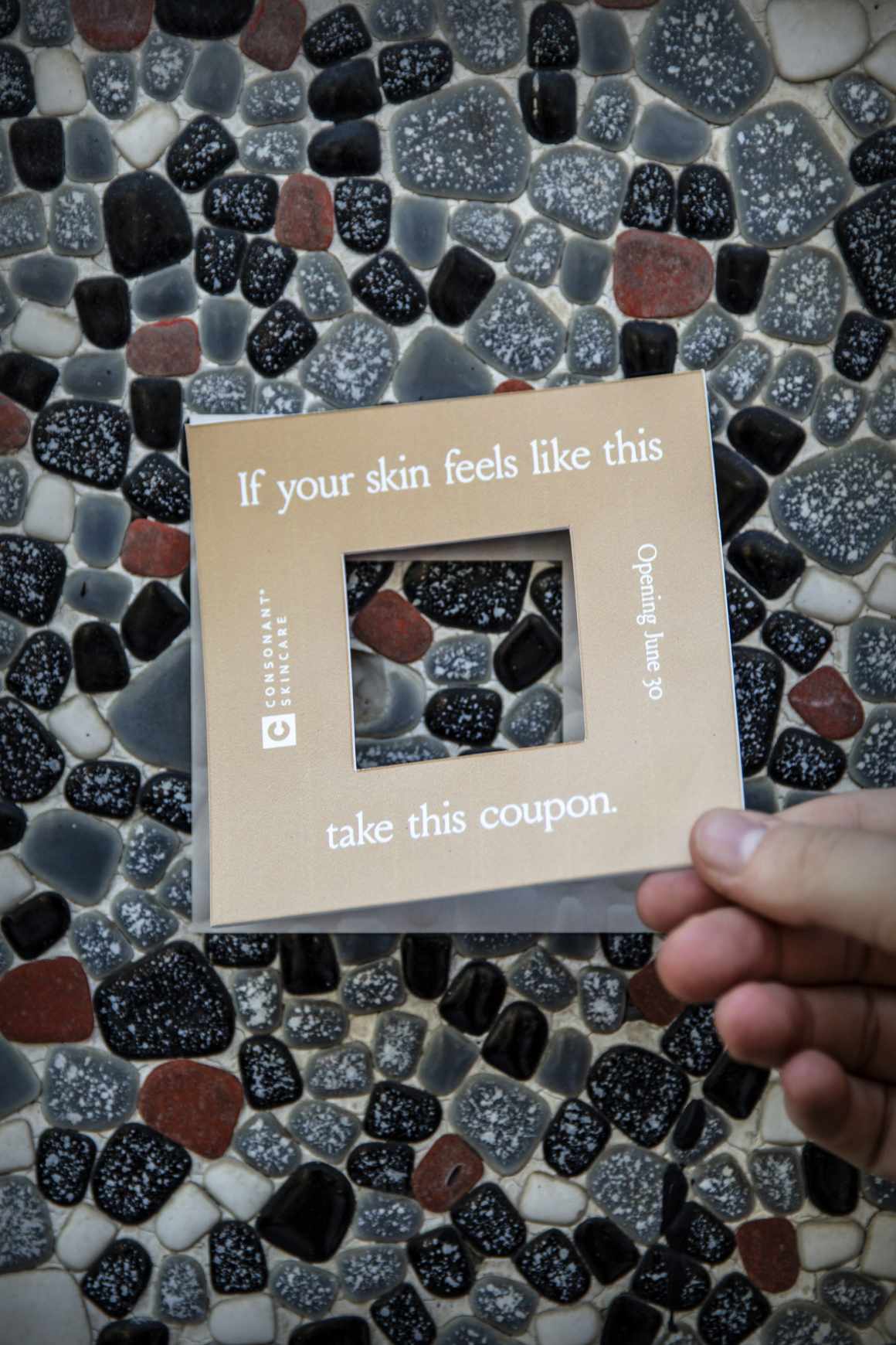 Consonant Skincare Outdoor Ad - Reskinning