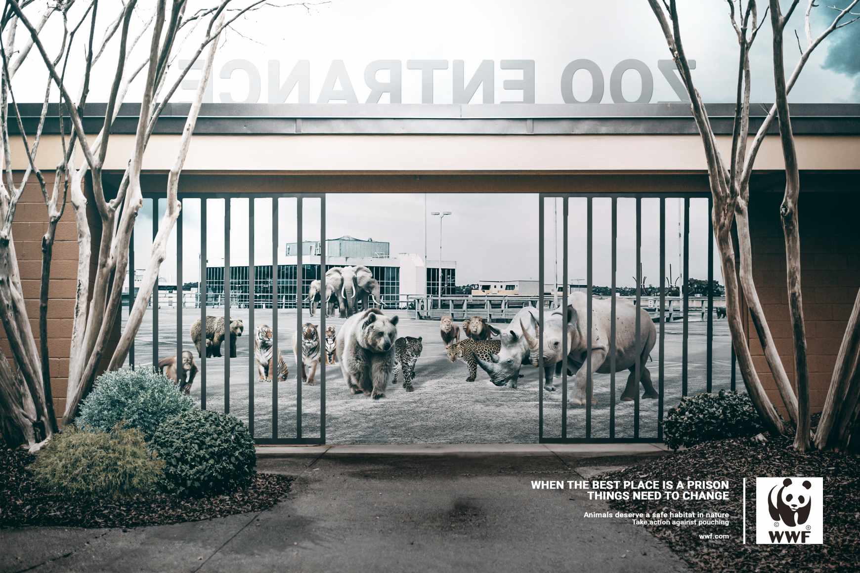 WWF Print Ad - Best in Prison