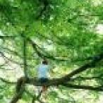 Misstree's picture Misstree's picture