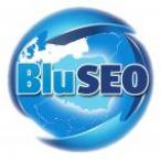 bluseo's picture bluseo's picture